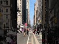 Summer in NYC
