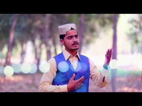 momino khushiyan manao kamli wala aa gaya momino khushiyan manao kamli wala aa gaya