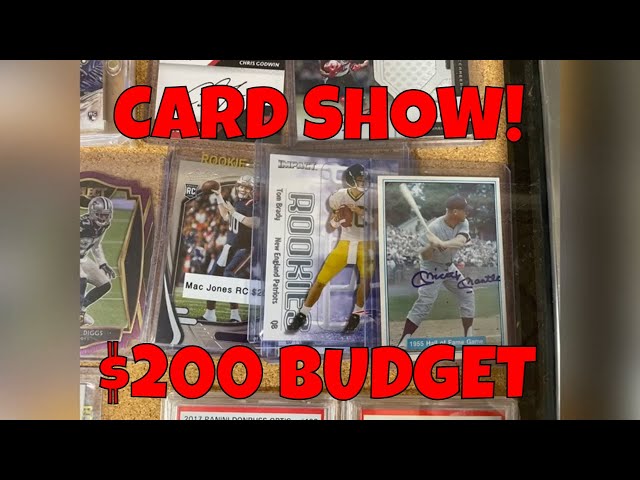 Sports card show Expo Portland Maine｜TikTok Search