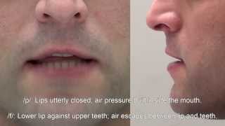 Patrick Hayeck's English Tongue Twisters-sounds p and f