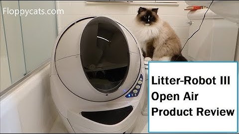 Litter Robot 3 Open Air Review - Automatic Self Cleaning Litter Box Review