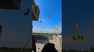 Unique Kite Catch 😂