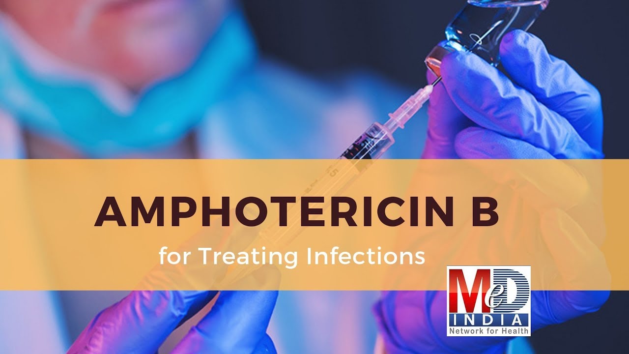 Amphotericin B for Treating Infections