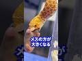 Q.オススメの蛇は？#爬虫類 #ヘビ