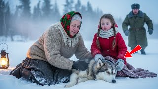 видео: «Одинокий ветеран, бабушка, девочка и пёс — история, которая растопит лёд в сердце» картинка: «Одинокий ветеран, бабушка, девочка и пёс — история, которая растопит лёд в сердце»