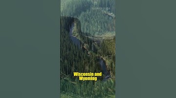 The White Spruce - Picea glauca