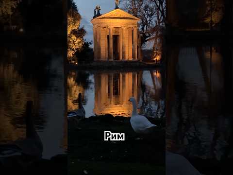 Рим на закате. #italy #rome #travel #путешествияпоевропе #shorts #shortvideo