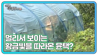 멀리서 보이는 황금빛을 따라온 윤택! 자연인은 무속인 MBN 220817 방송