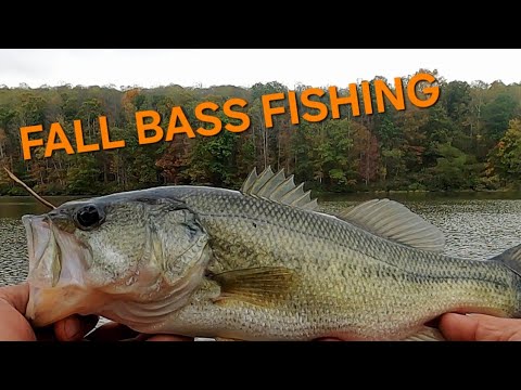 FALL BASS FISHING at Mill Run Reservoir