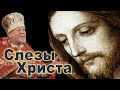 Слезы Христа. Проповедь священника Георгия Полякова в Вербное воскресенье.