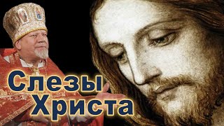 Слезы Христа. Проповедь священника Георгия Полякова в Вербное воскресенье.