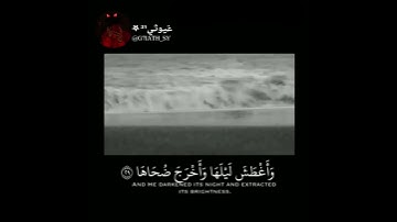 قرآن كريم / تلاوة هادئة تريح القلب 💙 حالات واتس اب اسلامية /ستوريات انستا😴❤