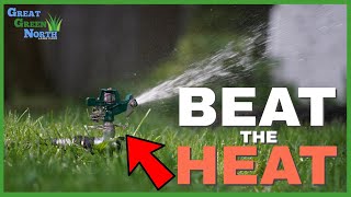 the SECRET to keep Your Lawn GREEN All Summer Long | fighting HEAT & DROUGHT Stress