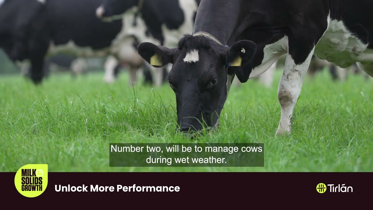 Milk Solids Growth: Maximising Milk Solids Production