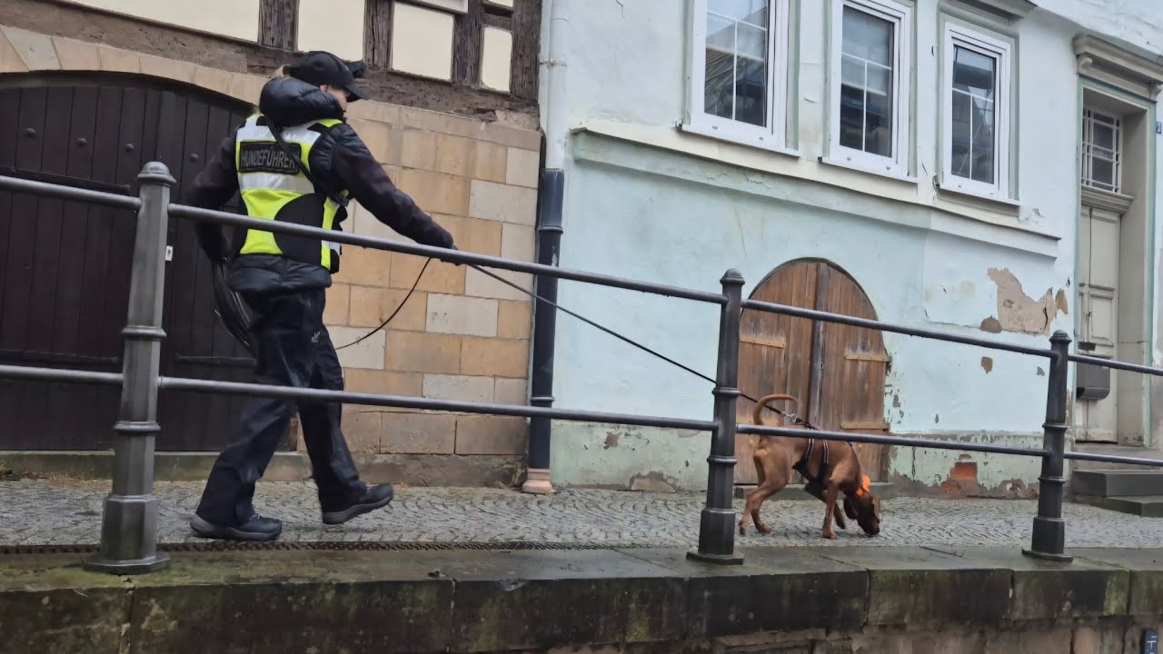 Arbeiten zwischen Geruchslücken 