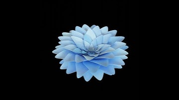 Looping flower animation with geometry nodes