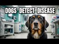 Dogs Are the ULTIMATE Illness Detectors!