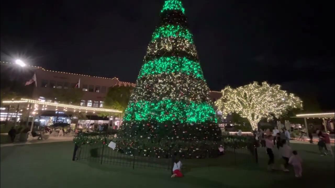 Market Street Christmas Tree YouTube