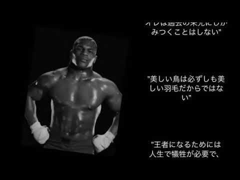ボクシング 名言集 マイク タイソン編 Part １ Youtube