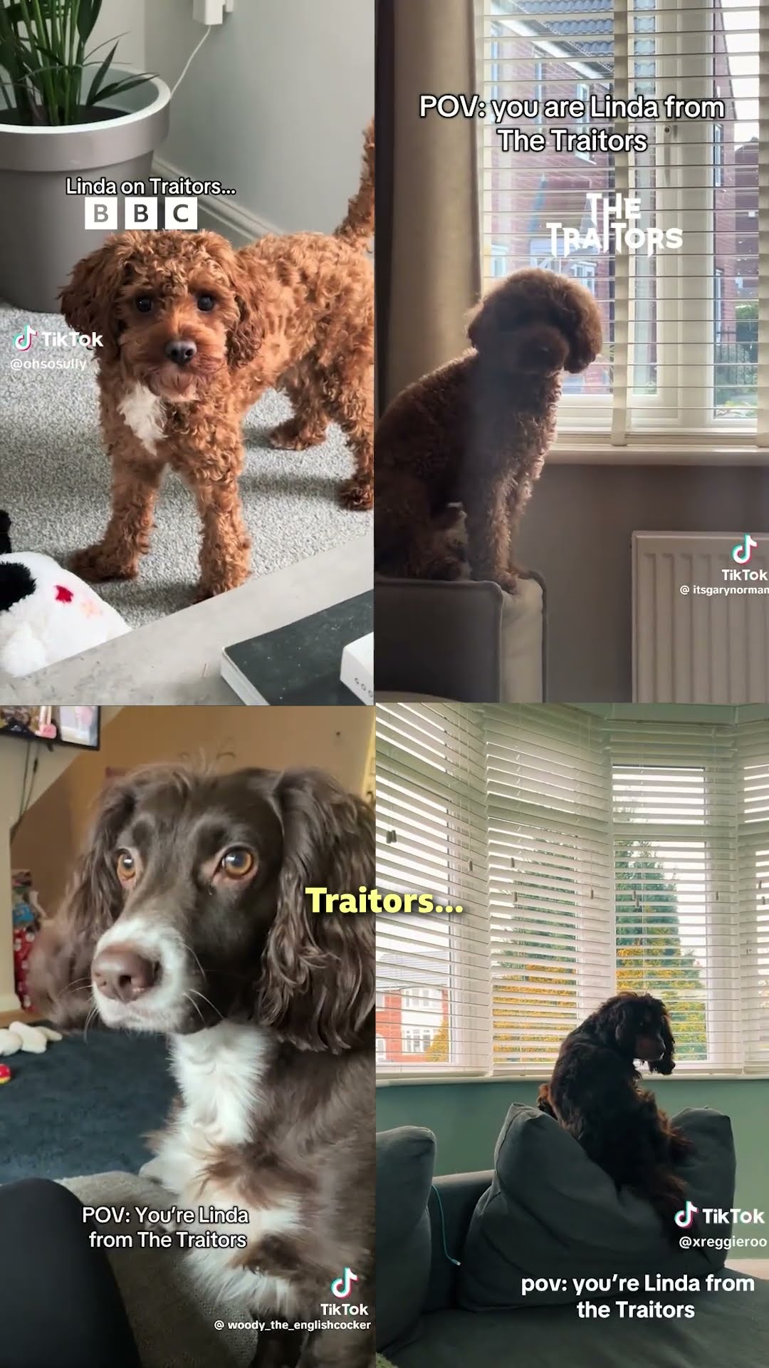 Introducing... The Petraitors ? #TheTraitors