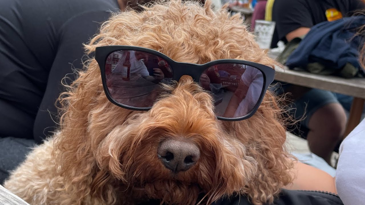 Ash & Shawn - Pirate Studios - 25.01.2024