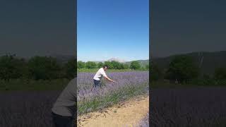 Kafayı Lavantayla Bozan Trabzonlu