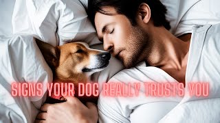 10 Signs Your Dog REALLY Trusts You