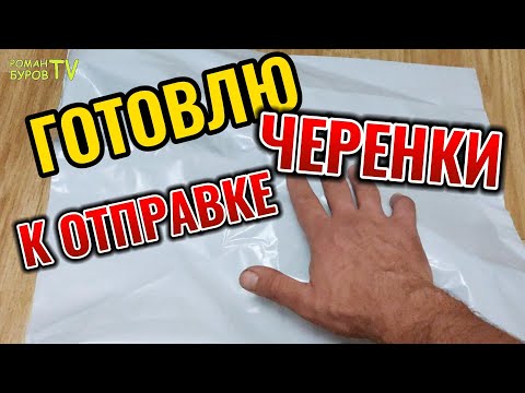 Видео: СОБИРАЮ ПОСЫЛКУ С ЧЕРЕНКАМИ МОРОЗОСТОЙКОГО РАННЕГО ВИНОГРАДА В САНКТ-ПЕТЕРБУРГ