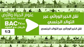 نقل الخبر الوراثي عبر التوالد الجنسي - نقل الخبر الوراثي عبر التوالد الجنسي - 1/3