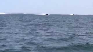 Off Shore Power Boats Lake Erie 8 9=14