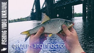 ПРОСТАЯ ФИДЕРНАЯ РЫБАЛКА НА СТАРОМ ДОБРОМ МЕСТЕ | FishingVideoUkraine ПРОСТАЯ ФИДЕРНАЯ РЫБАЛКА НА СТАРОМ ДОБРОМ МЕСТЕ | FishingVideoUkraine