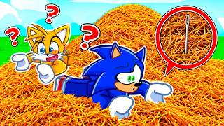 Roblox Find the Needle in a Haystack