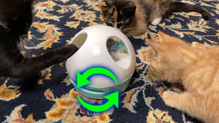 PETGEEK Hiding Mouse Interactive Motorized Cat Toy  🐈 Gadgetify