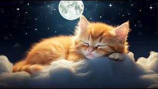 24/7 LIVE Sleeping Music for Cats |  Peaceful Relaxing Piano Music with Cat Purring Sounds