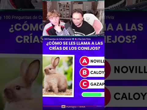 Como se les llama a las crias de los conejos | majogovi #shorts
