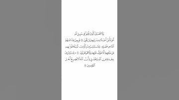 تلاوة في دقيقة سورة آل عمران الآيات من ١٦٩ إلى ١٧١ الشيخ بندر بليلة