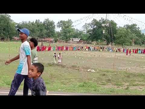 ଗୋଲିଆଗୁଡା ସାରାସାରୀ Day-1