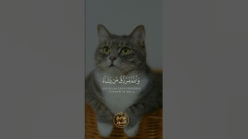 #المصحف : زين للذين كفروا الحياه الدنيا /للقارئ شايع التميمي (توابع النور)