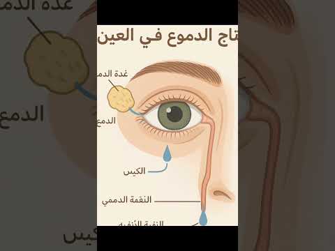 طريقه انتاج دموع العين