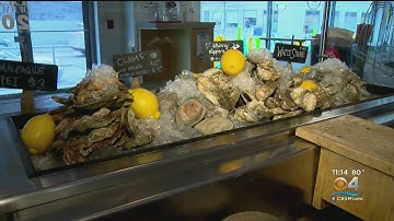 Scientists sample 156 Florida oysters, find dangerous "forever chemicals" in each