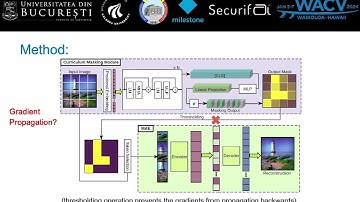 CL-MAE: Curriculum-Learned Masked Autoencoders
