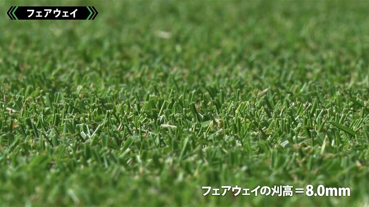 どこにいっても同じ状態に揃えたフェアウェイ【2024ZOZOチャンピオン