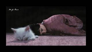 Not for Radio - Kitten
