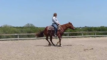 SLJ Dance Like Juice - bridle-less - turn arounds - Valley View Ranch