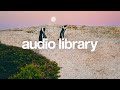 Penguins  vlad gluschenko no copyright music