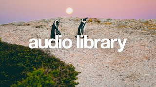 Penguins – Vlad Gluschenko (No Copyright Music)