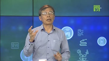 Cách khắc phục khi cây ớt bị thối ở thân ngang mặt đất và chết