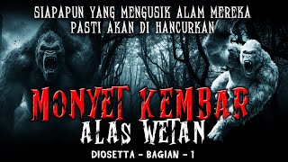 Siapapun Yang Mengganggu Ketenangan Mereka Pati Akan Hancur  Monyet  Alas Wetan Part 1  By Diosetta