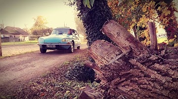 Beautiful 1971 Citroën DS20 Pallas