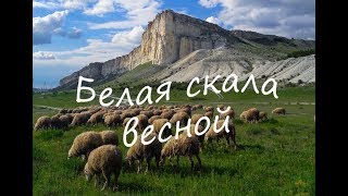 Весна на Белой скале в Крыму